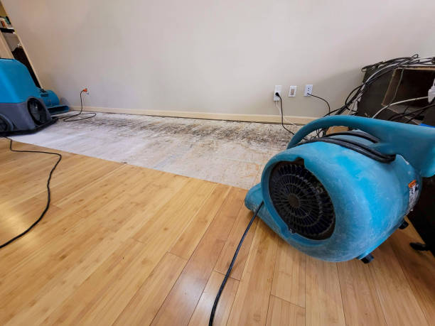 Professional Basement Flood Cleanup technician working in Avondale, LA
